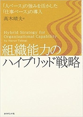 Organizational Capacity Hybrid Strategy