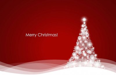 クリスマスツリー写真