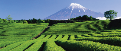 カリキュラム説明風景