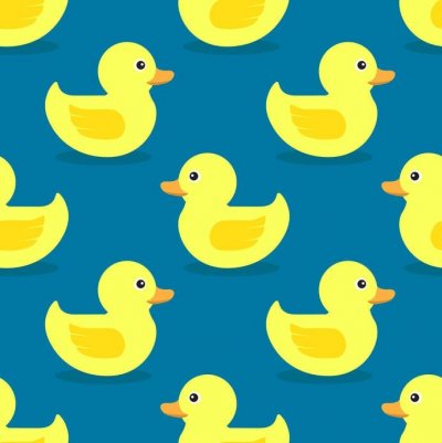 鴨とアヒルの違い《MBA編》