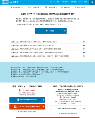 AIG損害保険株式会社 2019