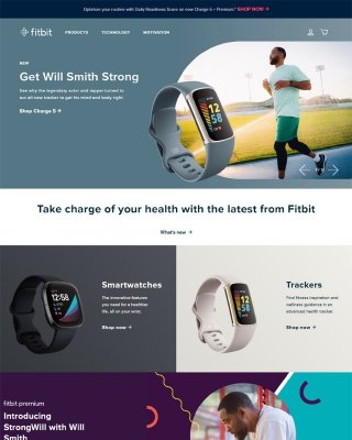 Fitbit 2019