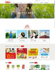 カルビー株式会社 2016