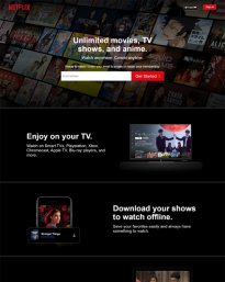 Netflix Inc. in India 2020