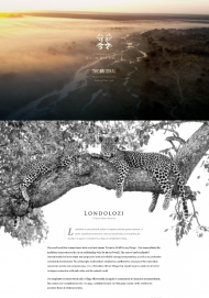 Londolozi 2023
