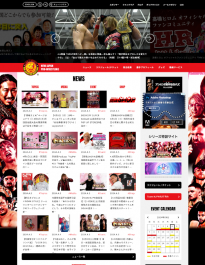 新日本プロレスリング 2011（A）（B）