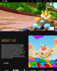 Activision Blizzard 2019