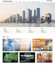 Fosun International 2015