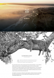 Londolozi 2023